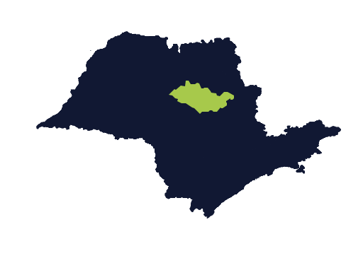 Ilustração Mapa De Araraquara, São Paulo - Recicla Brasil